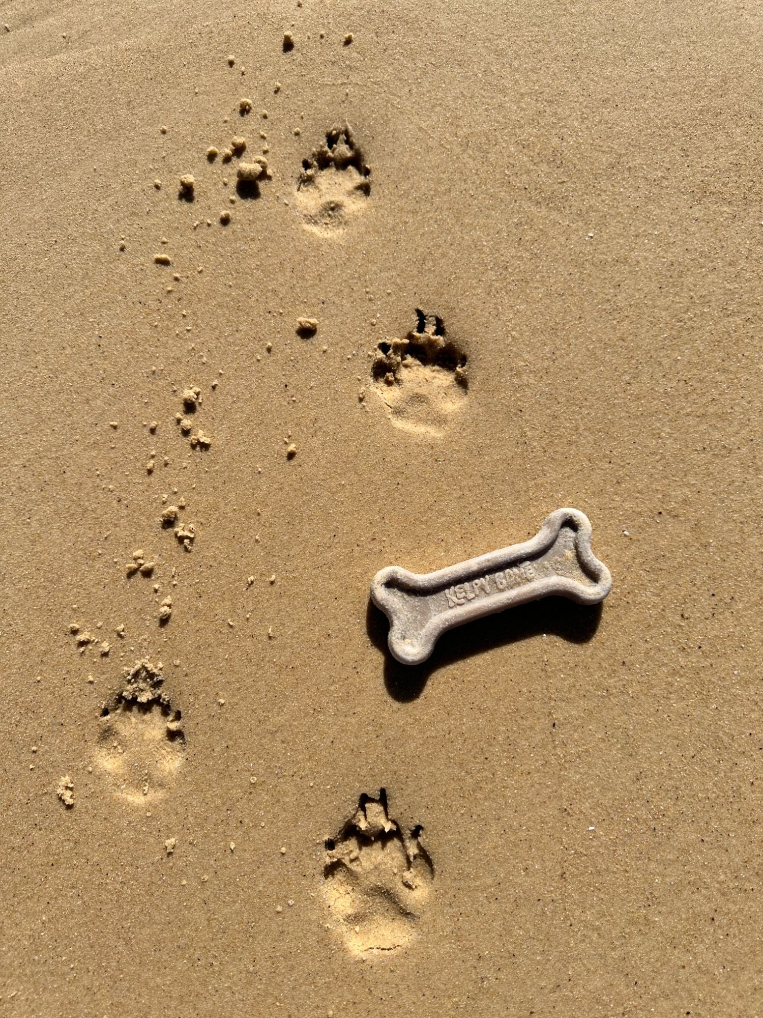 Double the Fun - 2 Bones