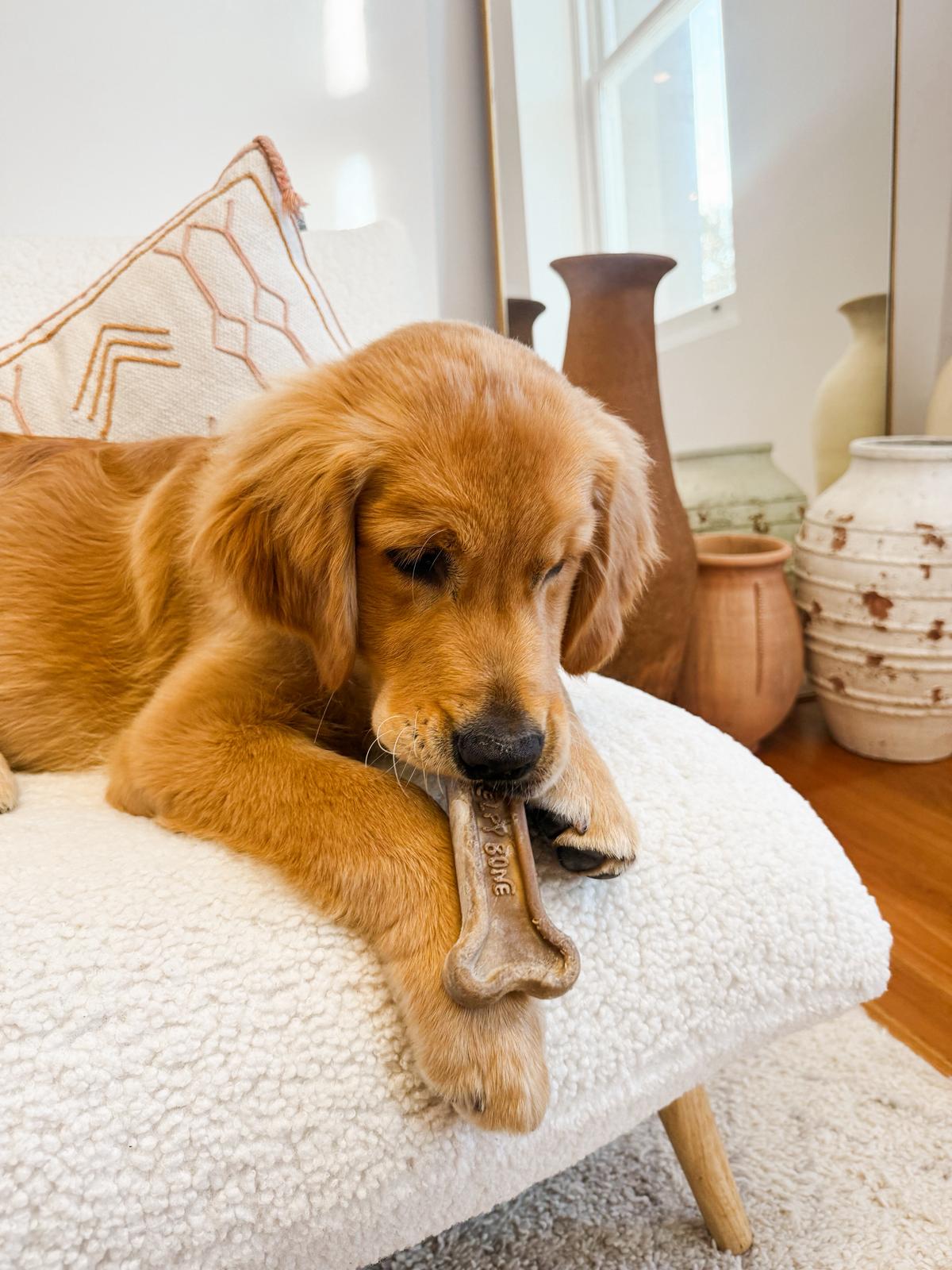 The Kelpy Bone